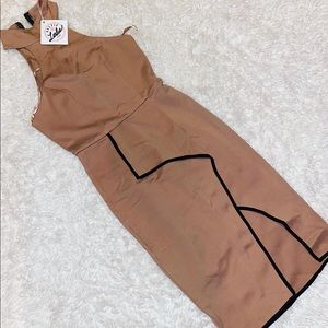 Nude And Black dress